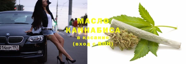 индика Михайловка