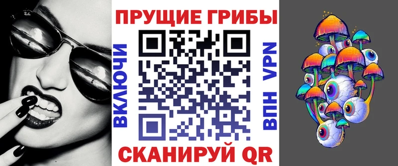 Псилоцибиновые грибы Cubensis  Электрогорск 