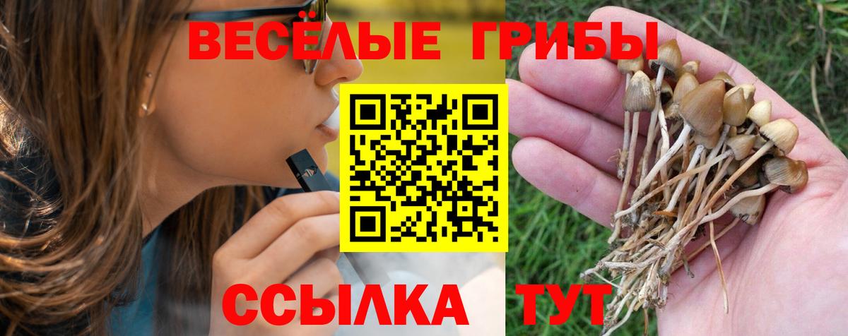 Электрогорск  Псилоцибиновые грибы GOLDEN TEACHER  Вход с VPN 