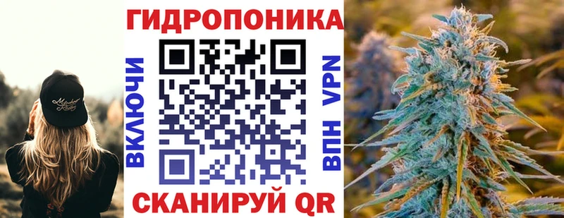 купить цена Электрогорск МАРИХУАНА конопля