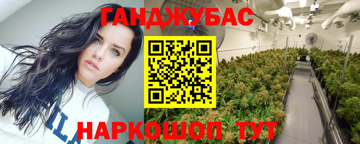 LSD-25 Электрогорск